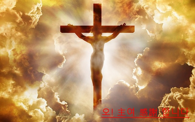 2f80414485989bcbcd619bd46a12e9ef_1561189131_5083.jpg