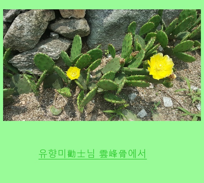 ab6668b6fb8b2b21de5b3a1b7cf13d06_1560577168_6569.jpg